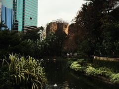 景点-九龙公园