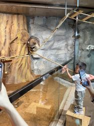 -Zoolung Zoolung动物主题公园(海信广场店)