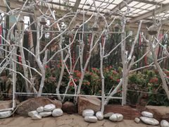 -石家庄市植物园