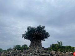 -郑州银基国际旅游度假区