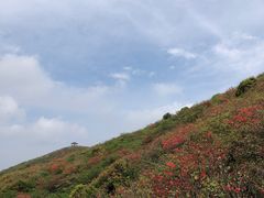 -大围山国家森林公园
