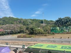 -深圳野生动物园
