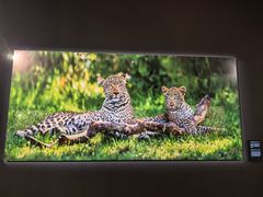 -罗红摄影艺术馆