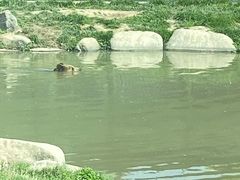 -上海野生动物园