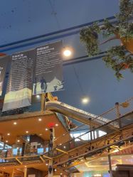 点击看大图 -卡通尼·Safari非洲探索乐园·生日会(金桥国际商业广场店)