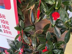 -熙成烧烤·三十三年(开发区店)