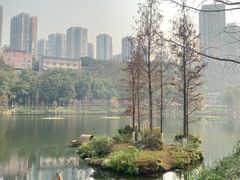 -重庆彩云湖湿地公园