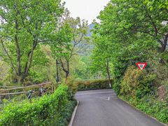 -野蔓果·山野菜(西湖景区·龙井茶田店)