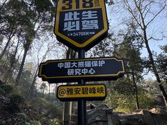 -中国大熊猫保护研究中心雅安碧峰峡基地