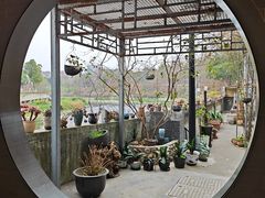 -生宇山珍野生菌汤锅•始于2002(双流古塔店)