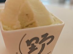 -野人先生现做冰淇淋(北京王府井东方新天地店)