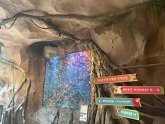 -杭州开元森泊度假乐园