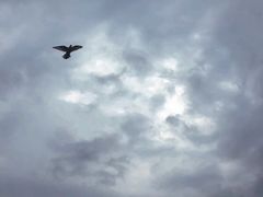 -星海广场