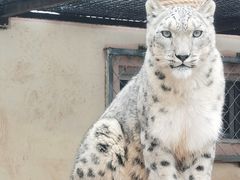 -清真悦宾楼食府(海湖店)