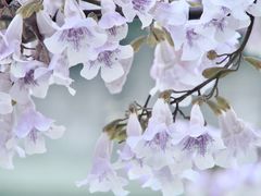 -红星桥(地铁站)