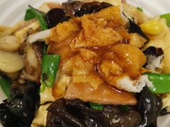竹笙罗汉斋-粤·向群饭店(龙津东路总店)