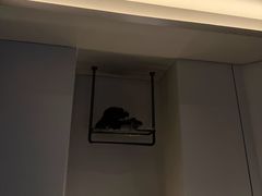 -水悦堂足浴SPA养生会所