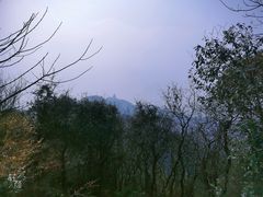 -杭州半山国家森林公园