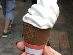 -富豪雪糕车流动点(尖沙咀店)