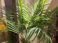 -梁溪河畔·吉府花园(南长街南下塘店)