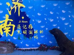 -大明湖海底世界