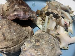 -鲜螺湾(鹏欣丽都店)