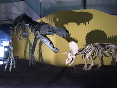 -湖南省地质博物馆