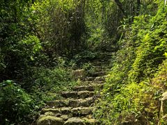 -牛鱼嘴原始生态风景区