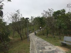 -聚龙山公园