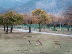 -西安秦岭野生动物园