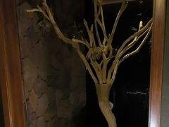 -心足私家足疗SPA(深圳湾店)