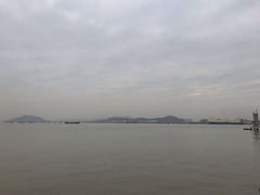 -海鸥岛