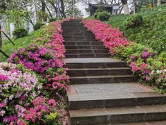 -重庆平顶山公园