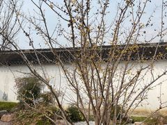 -青果巷历史文化街区