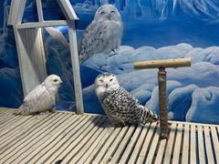 -成都浩海立方海洋公园