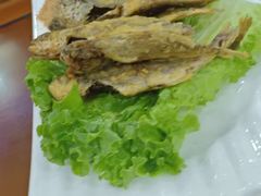 -兰州老马家族食府(康庄总店)