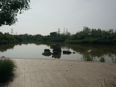 -大港湿地公园
