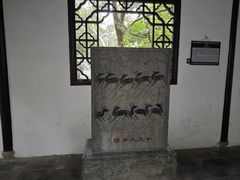 -上海醉白池公园