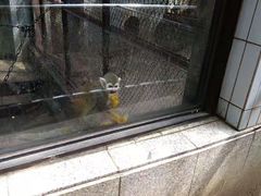 -昆明动物园