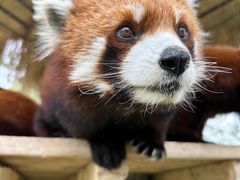 -水上乐园·欢乐世界