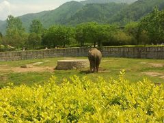秦岭野生动物园-西安秦岭野生动物园