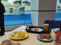 -帝企鹅自助餐厅•儿童岛•真企鹅(长隆企鹅酒店)