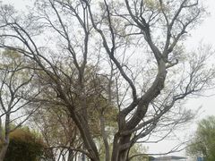 -巡塘古镇