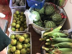 -南汇新场正宗水蜜桃采摘