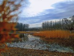 -东郊湿地公园
