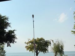 -野菌皇海景野生菌火锅(滨海大道店)