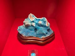 -广东省博物馆