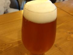 -雪梨精酿 Sydney Coast Brewing(沁春家园店)
