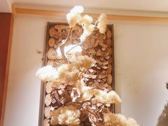 -松子料理(亮马桥店)