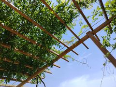 -中国天府农业博览园